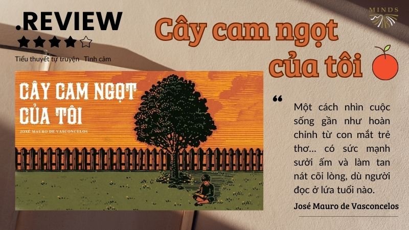 Review sách cây cam ngọt của tôi