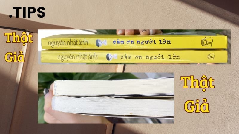 Cách phân biệt sách giả và thật qua Gáy sách